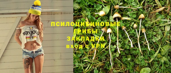 дживик Зеленодольск