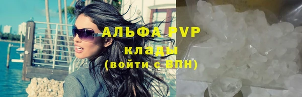 мяу мяу мука Зерноград