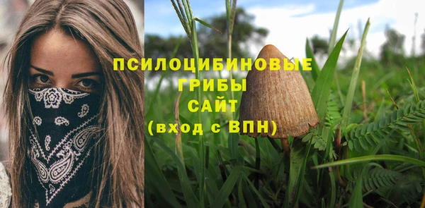 мяу мяу мука Зерноград