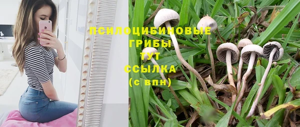 дживик Зеленодольск
