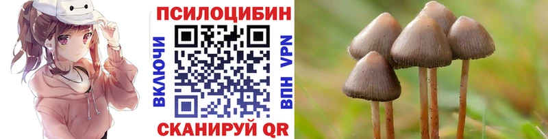 Псилоцибиновые грибы прущие грибы  Купить закладки  Лодейное Поле 