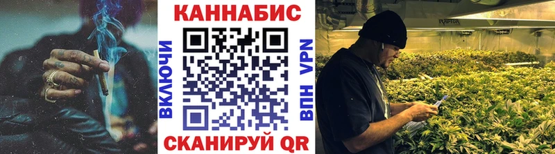 Купить  Лодейное Поле  Каннабис VHQ 